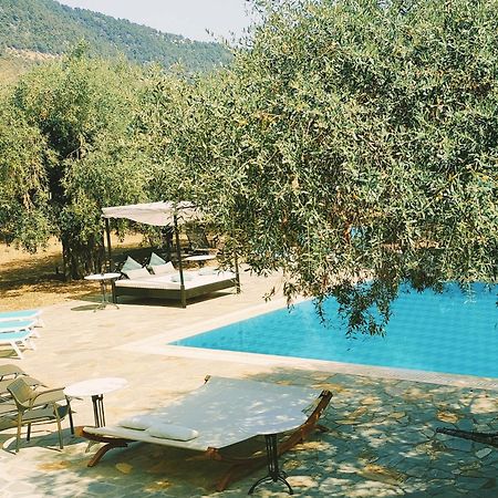 סקאלה פוטאמיאס Ipsario Garden Hotel מראה חיצוני תמונה